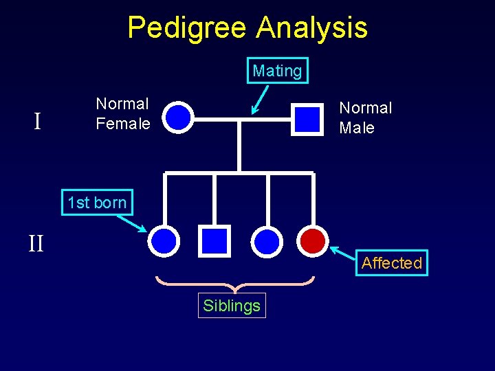 Pedigree Analysis Mating I Normal Female Normal Male 1 st born II Affected Siblings