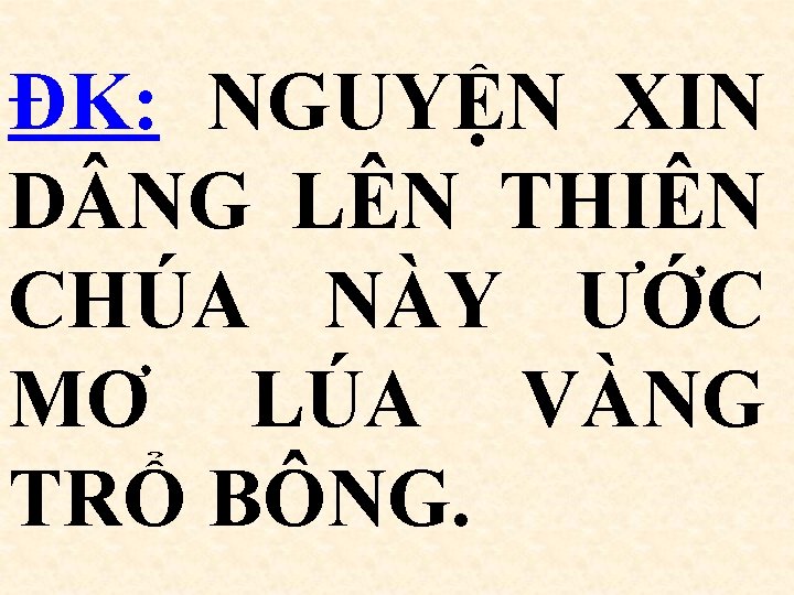 ĐK: NGUYỆN XIN D NG LÊN THIÊN CHÚA NÀY ƯỚC MƠ LÚA VÀNG TRỔ