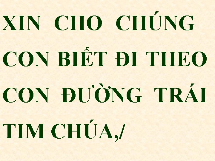 XIN CHO CHÚNG CON BIẾT ĐI THEO CON ĐƯỜNG TRÁI TIM CHÚA, / 