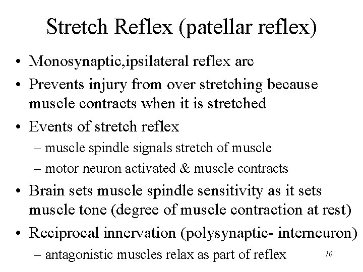 Stretch Reflex (patellar reflex) • Monosynaptic, ipsilateral reflex arc • Prevents injury from over