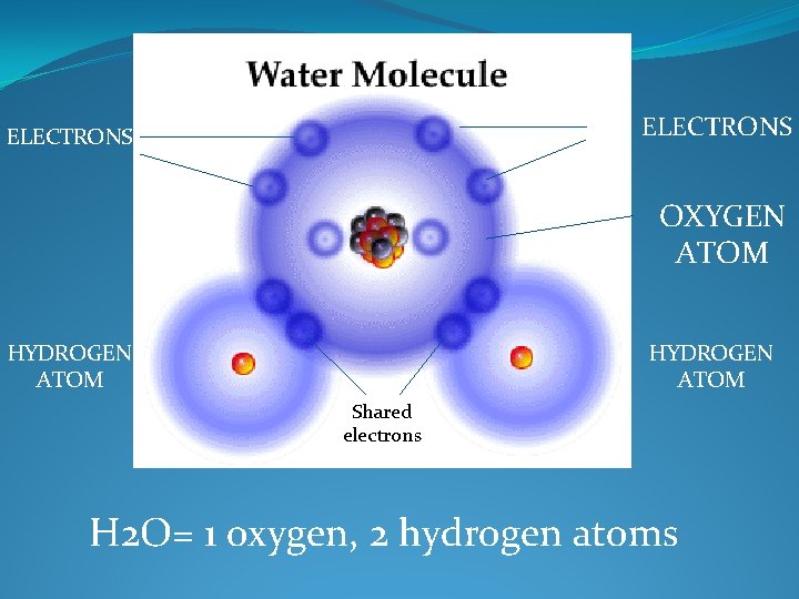 ELECTRONS OXYGEN ATOM HYDROGEN ATOM Shared electrons H 2 O= 1 oxygen, 2 hydrogen