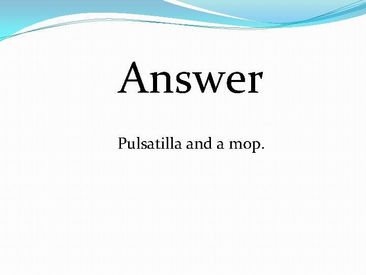 Answer Pulsatilla and a mop. 