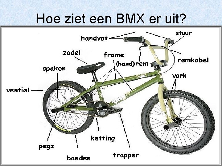 Hoe ziet een BMX er uit? 