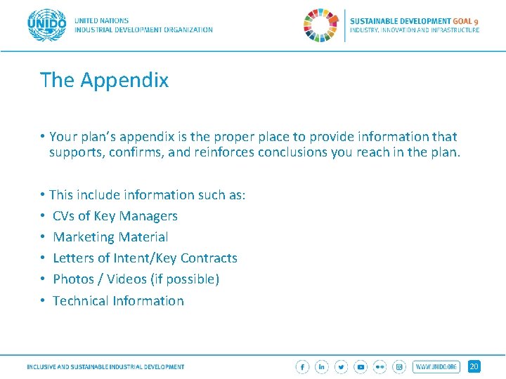 The Appendix • Your plan’s appendix is the proper place to provide information that