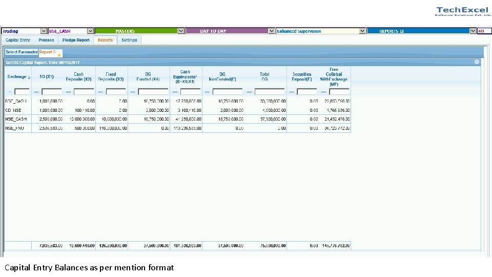 Capital Entry Balances as per mention format 