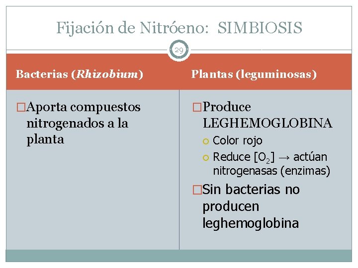 Fijación de Nitróeno: SIMBIOSIS 29 Bacterias (Rhizobium) Plantas (leguminosas) �Aporta compuestos �Produce nitrogenados a