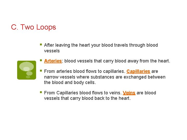 C. Two Loops § After leaving the heart your blood travels through blood vessels