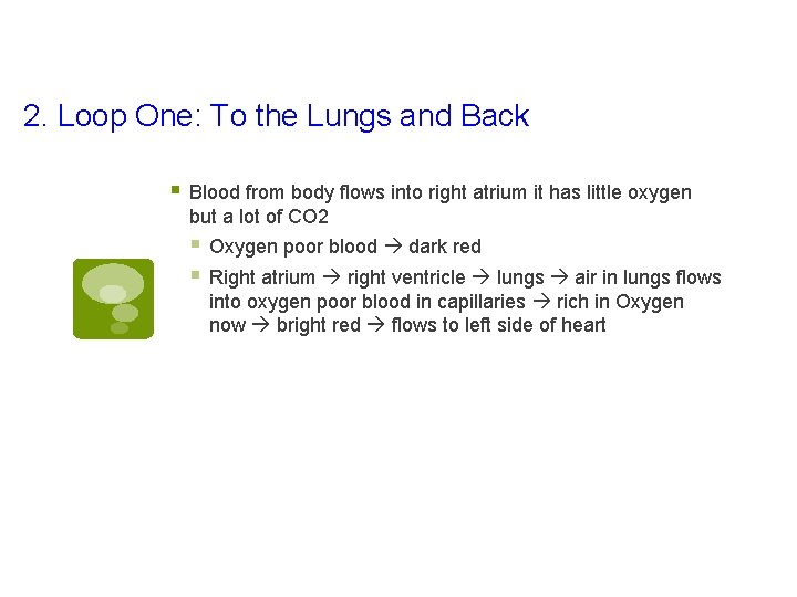 2. Loop One: To the Lungs and Back § Blood from body flows into