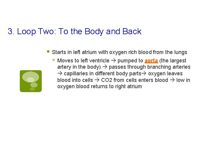 3. Loop Two: To the Body and Back § Starts in left atrium with