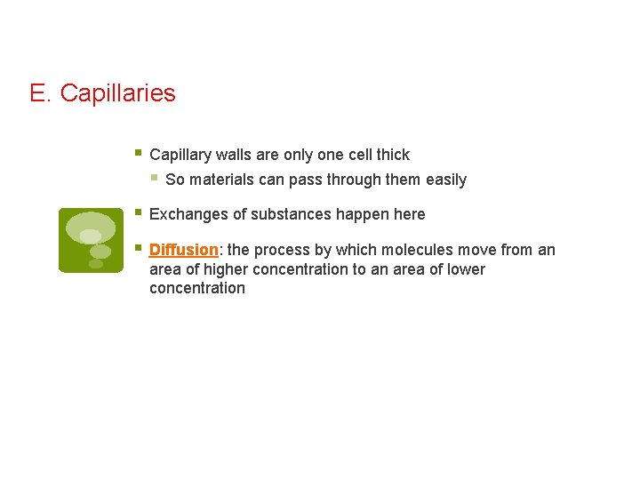 E. Capillaries § Capillary walls are only one cell thick § So materials can