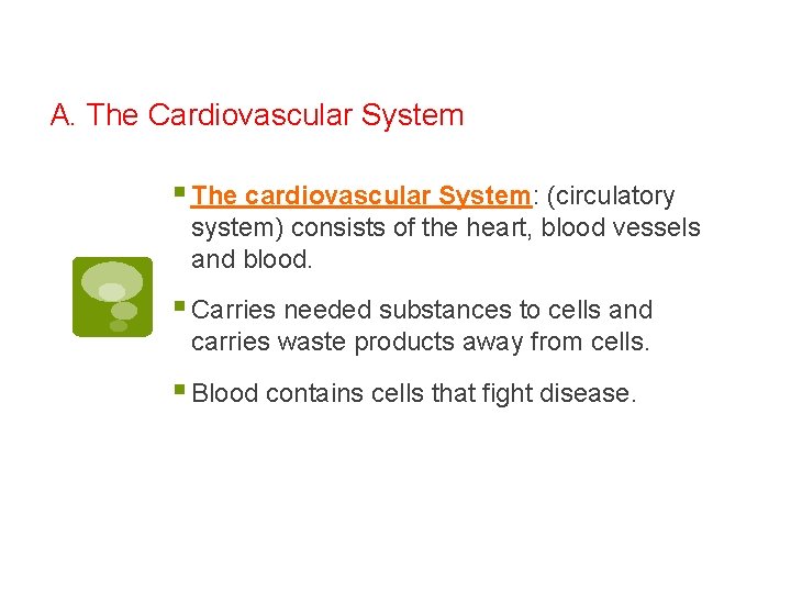 A. The Cardiovascular System § The cardiovascular System: (circulatory system) consists of the heart,