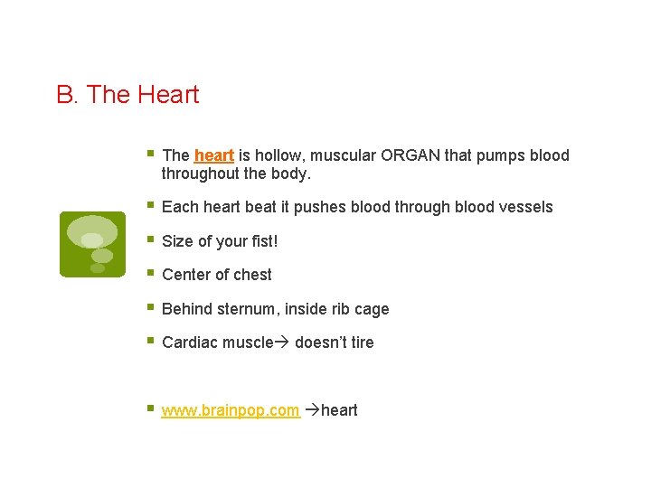 B. The Heart § The heart is hollow, muscular ORGAN that pumps blood throughout