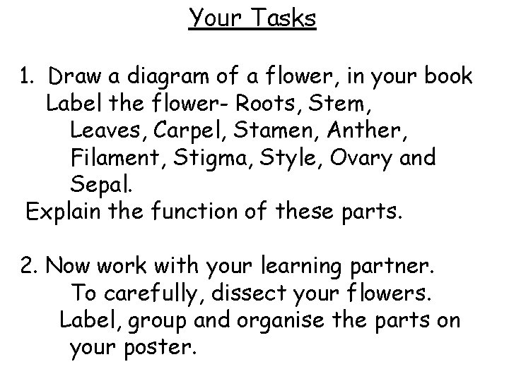 Your Tasks 1. Draw a diagram of a flower, in your book Label the