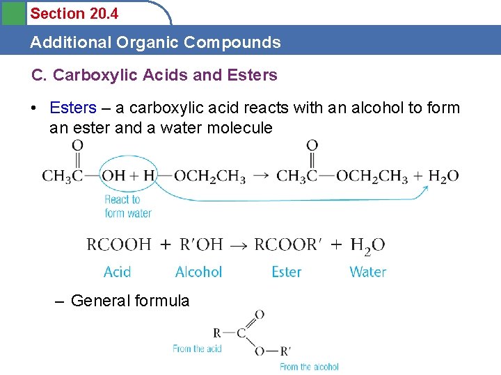 Section 20. 4 Additional Organic Compounds C. Carboxylic Acids and Esters • Esters –