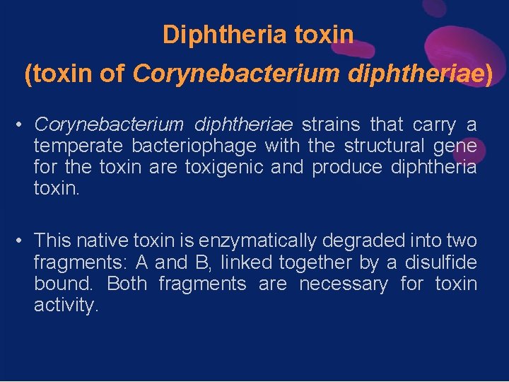 Diphtheria toxin (toxin of Corynebacterium diphtheriae) • Corynebacterium diphtheriae strains that carry a temperate