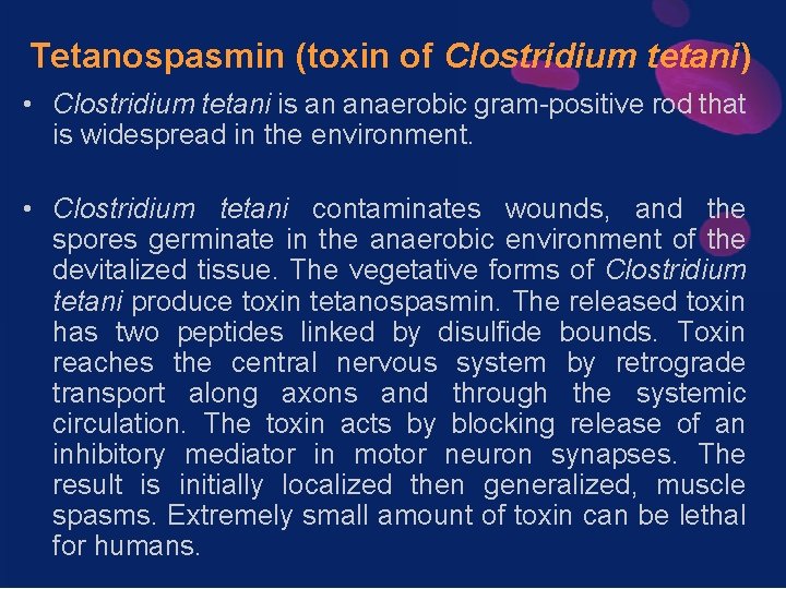 Tetanospasmin (toxin of Clostridium tetani) • Clostridium tetani is an anaerobic gram-positive rod that