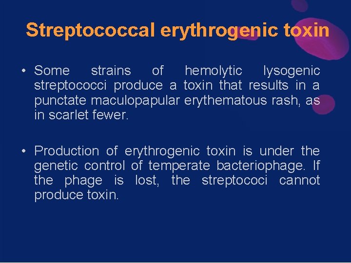 Streptococcal erythrogenic toxin • Some strains of hemolytic lysogenic streptococci produce a toxin that