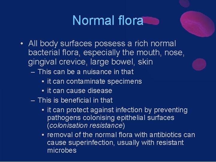 Normal flora • All body surfaces possess a rich normal bacterial flora, especially the