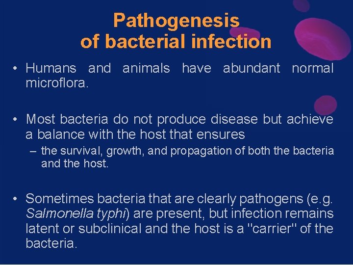 Pathogenesis of bacterial infection • Humans and animals have abundant normal microflora. • Most