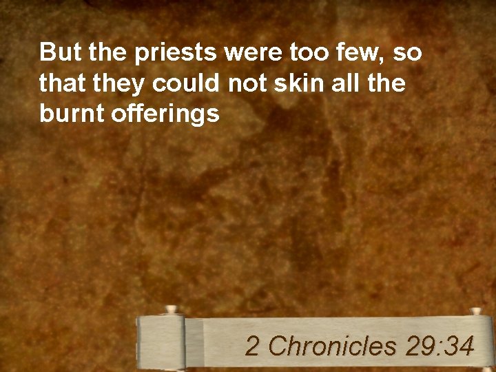 But the priests were too few, so that they could not skin all the