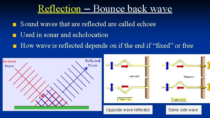 Reflection – Bounce back wave ■ Sound waves that are reflected are called echoes