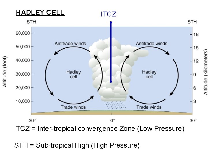 HADLEY CELL ITCZ = Inter-tropical convergence Zone (Low Pressure) STH = Sub-tropical High (High