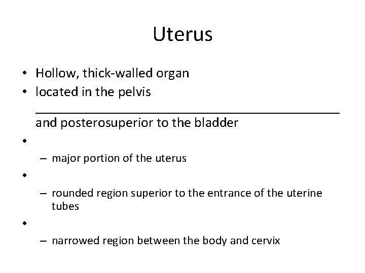 Uterus • Hollow, thick-walled organ • located in the pelvis ______________________ and posterosuperior to