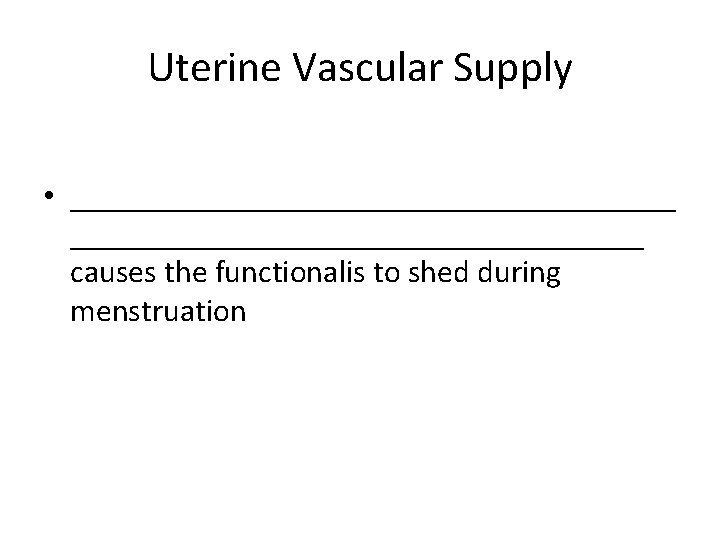 Uterine Vascular Supply • ___________________ causes the functionalis to shed during menstruation 