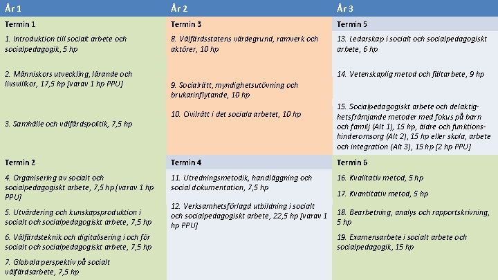 År 1 År 2 År 3 Termin 1 Termin 3 Termin 5 1. Introduktion