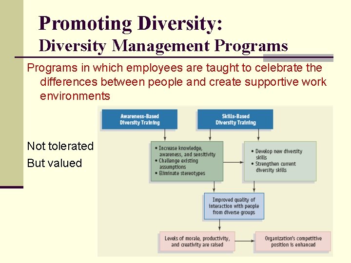 Promoting Diversity: Diversity Management Programs in which employees are taught to celebrate the differences