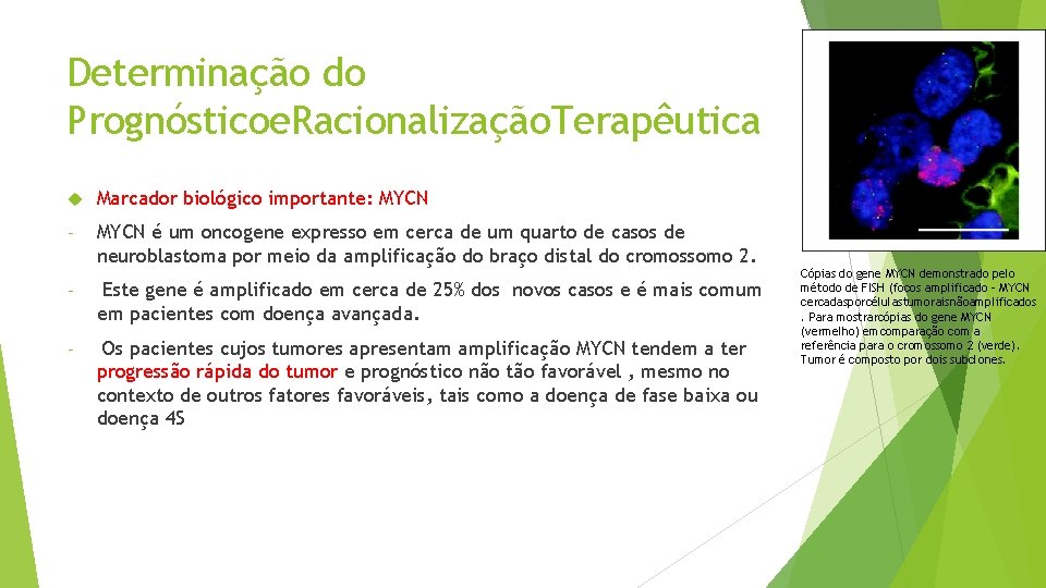 Determinação do Prognósticoe. Racionalização. Terapêutica Marcador biológico importante: MYCN - MYCN é um oncogene