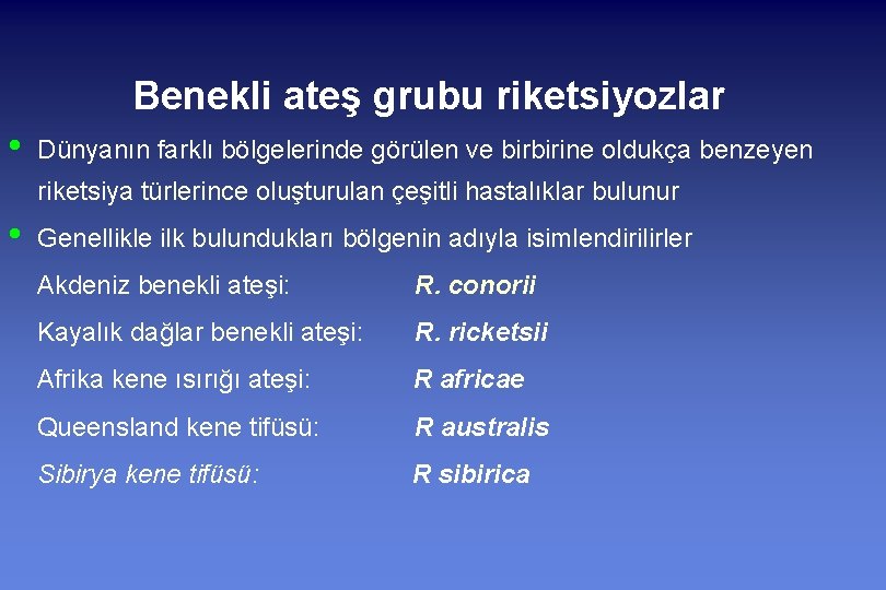 Benekli ateş grubu riketsiyozlar • Dünyanın farklı bölgelerinde görülen ve birbirine oldukça benzeyen riketsiya