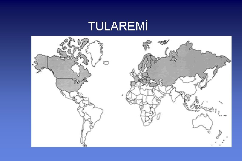 TULAREMİ 