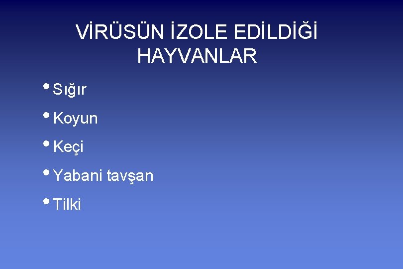 VİRÜSÜN İZOLE EDİLDİĞİ HAYVANLAR • Sığır • Koyun • Keçi • Yabani tavşan •