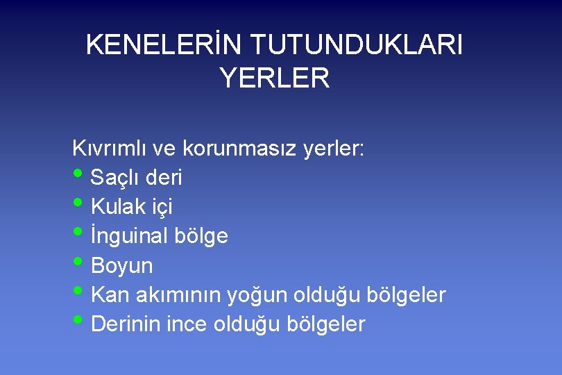 KENELERİN TUTUNDUKLARI YERLER Kıvrımlı ve korunmasız yerler: • Saçlı deri • Kulak içi •