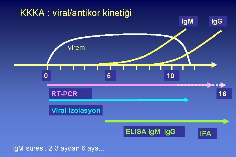 KKKA : viral/antikor kinetiği Ig. M Ig. G viremi 0 5 10 RT-PCR 16