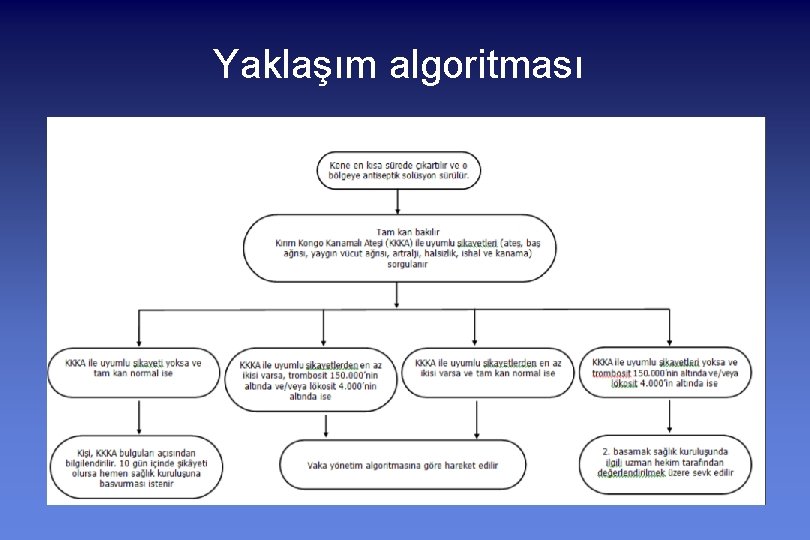 Yaklaşım algoritması 