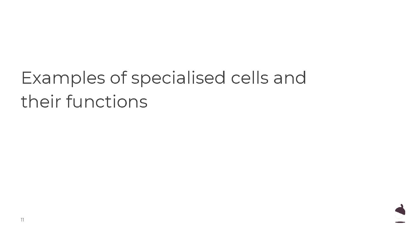 Examples of specialised cells and their functions 11 