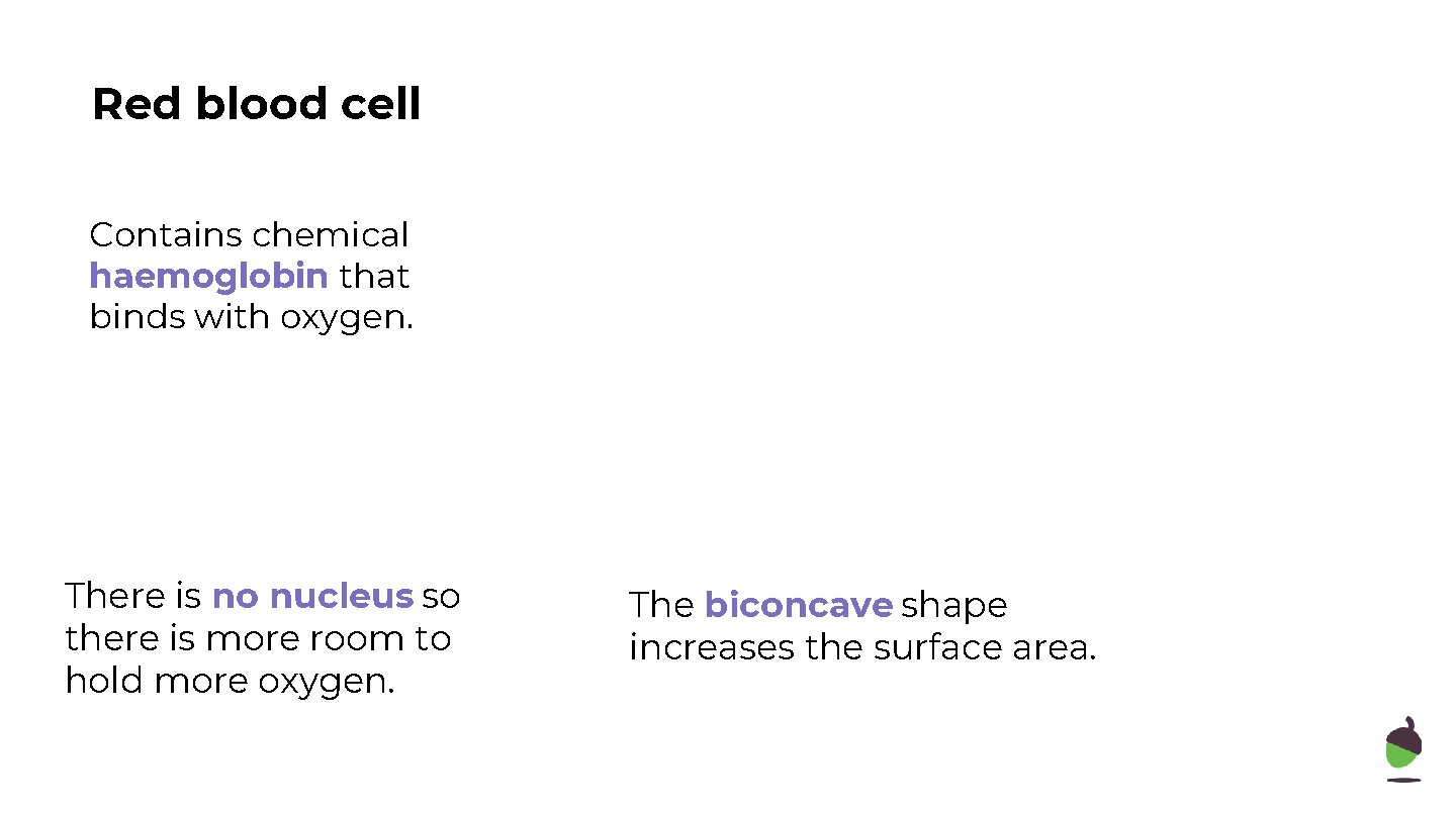 Red blood cell Contains chemical haemoglobin that binds with oxygen. There is no nucleus