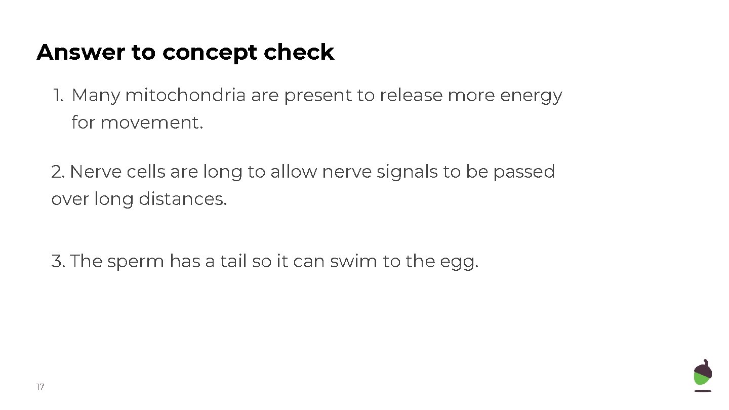 Answer to concept check 1. Many mitochondria are present to release more energy for