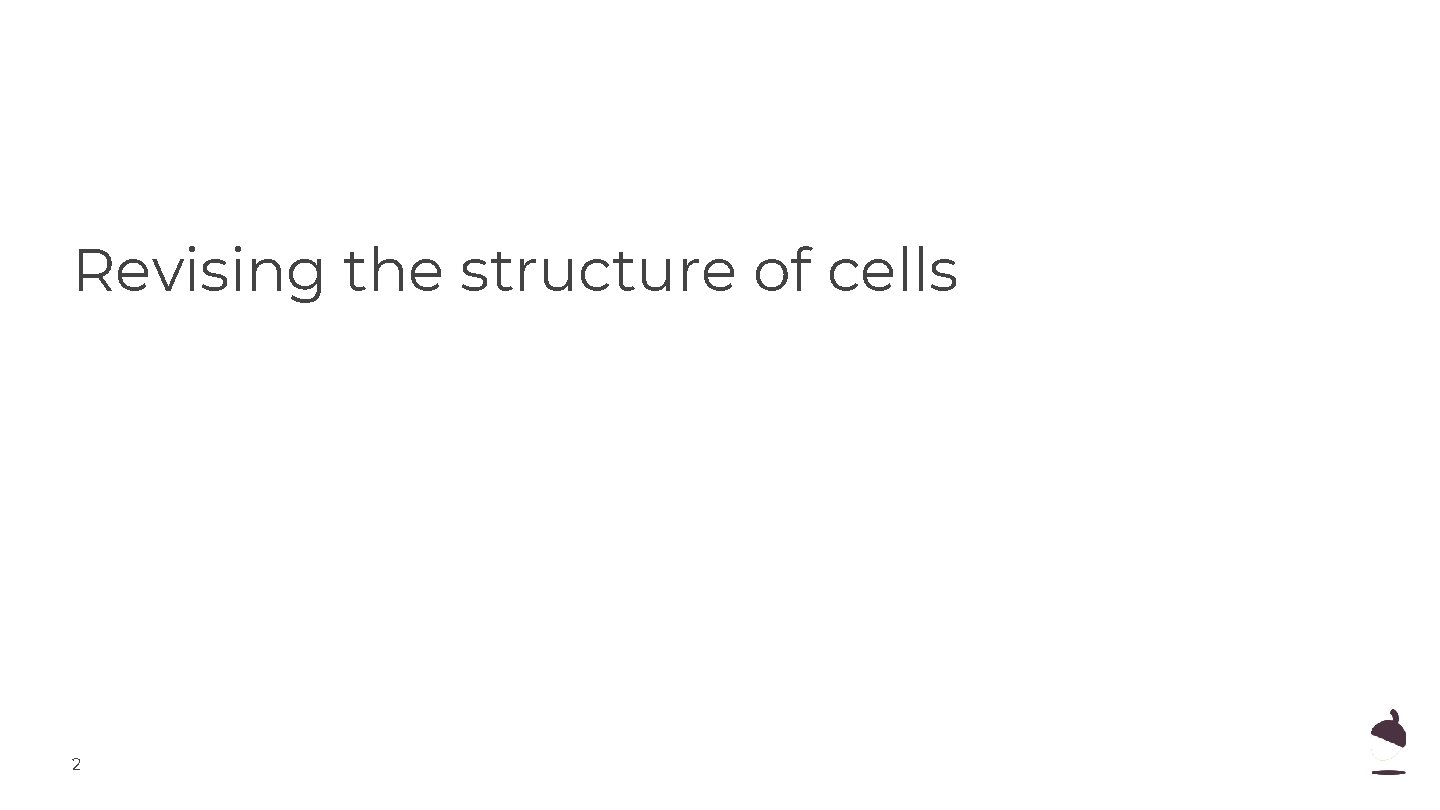 Revising the structure of cells 2 