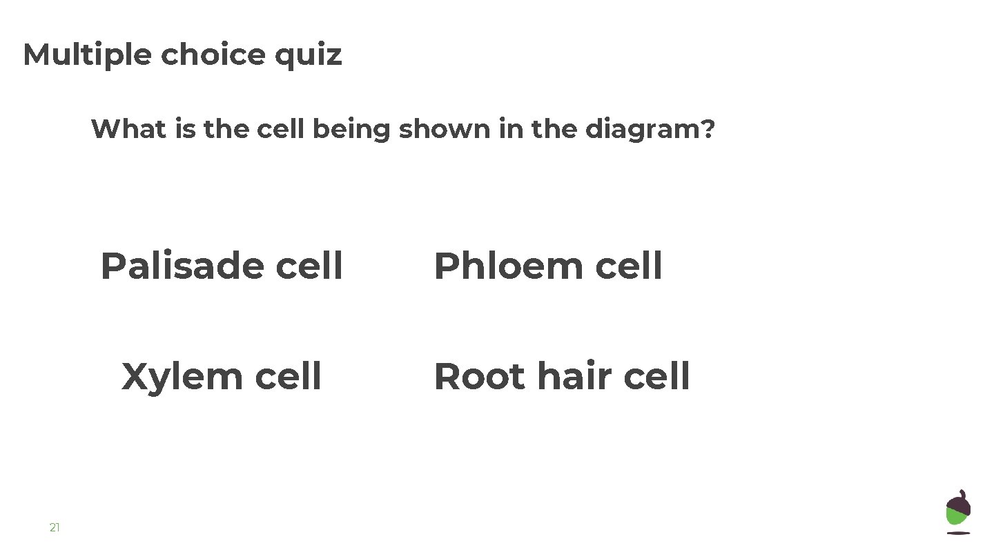 Multiple choice quiz What is the cell being shown in the diagram? Palisade cell