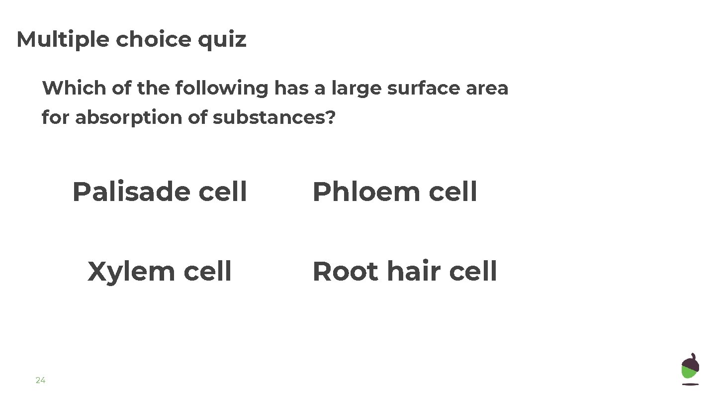 Multiple choice quiz Which of the following has a large surface area for absorption