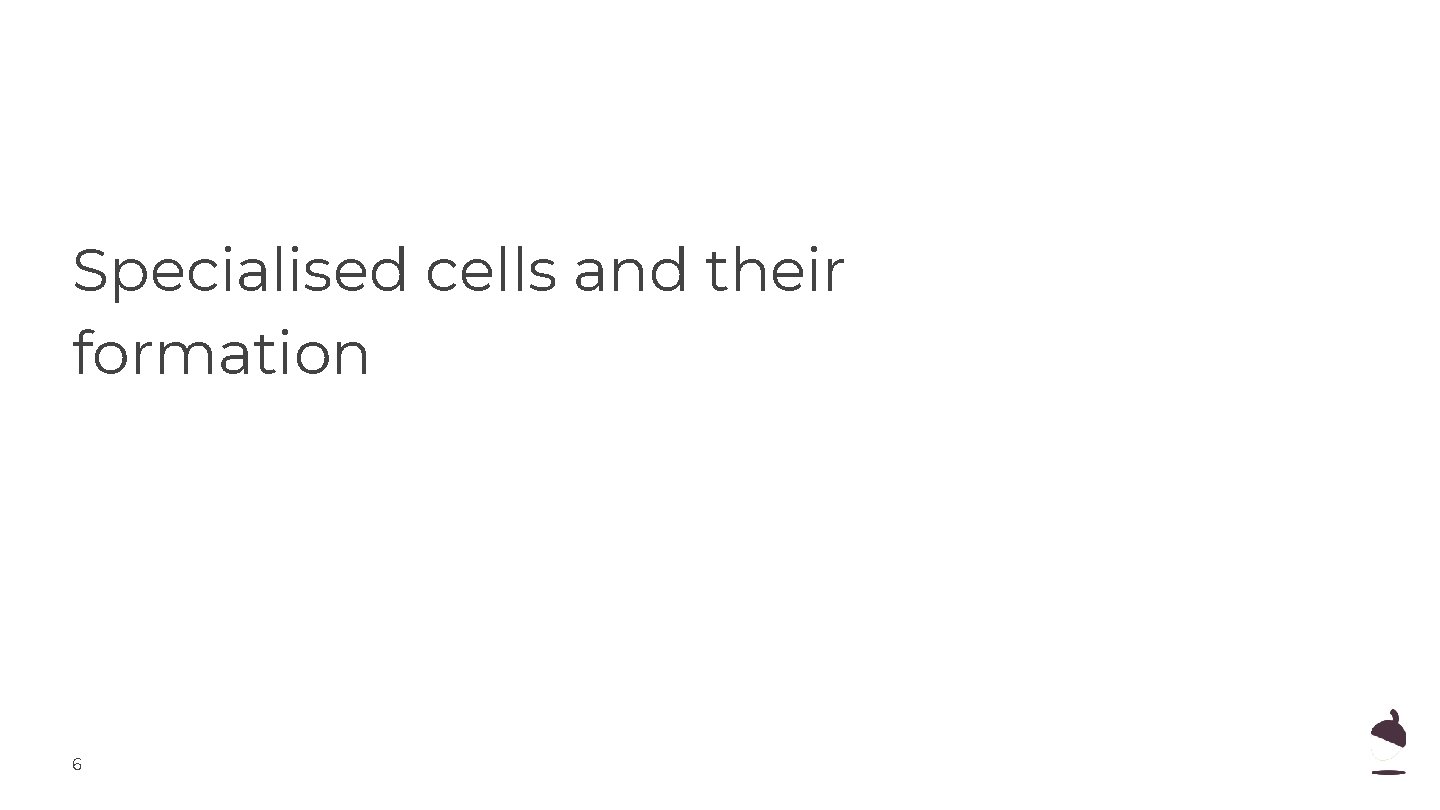 Specialised cells and their formation 6 