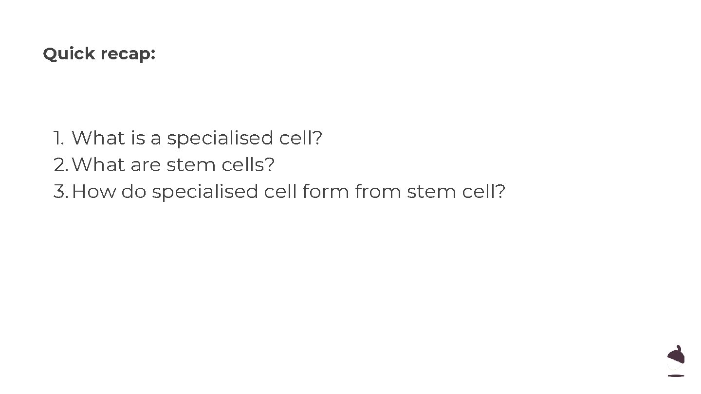 Quick recap: 1. What is a specialised cell? 2. What are stem cells? 3.