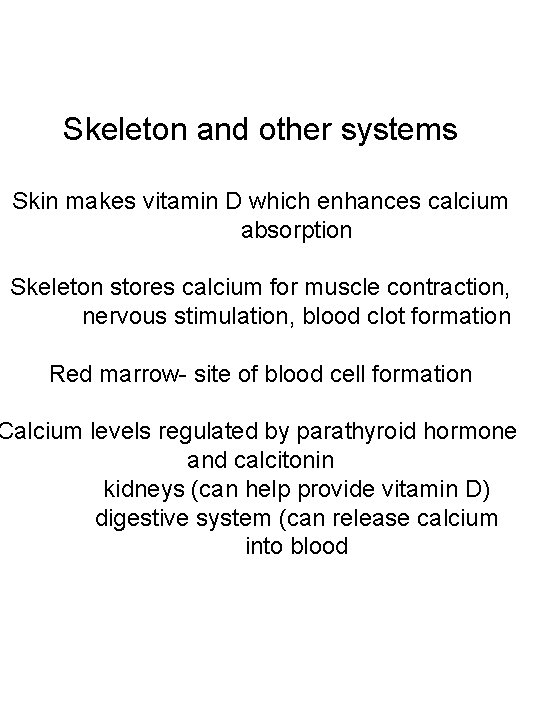 Skeleton and other systems Skin makes vitamin D which enhances calcium absorption Skeleton stores