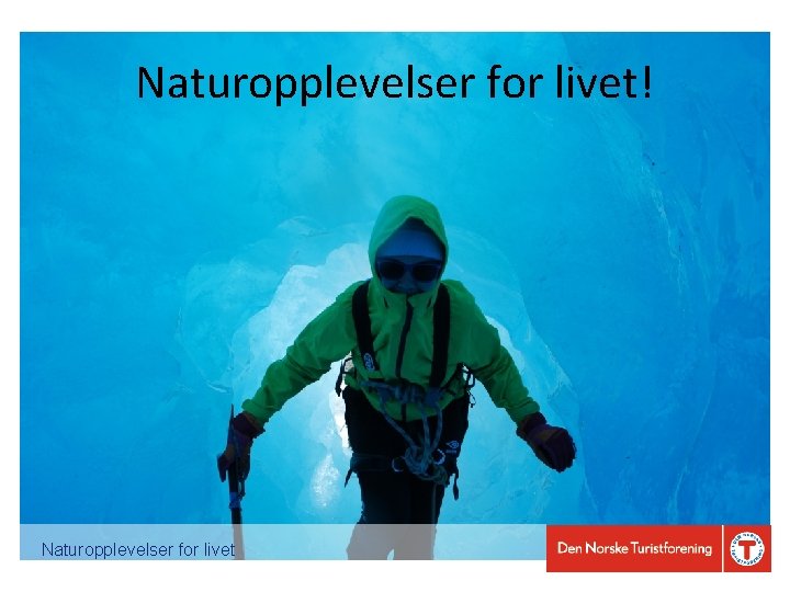 Naturopplevelser for livet! Naturopplevelser for livet 