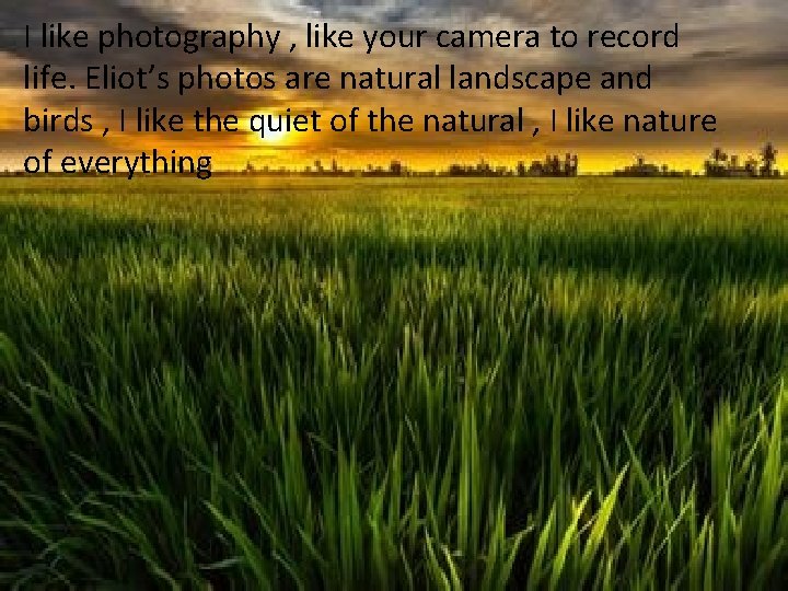 I like photography , like your camera to record life. Eliot’s photos are natural