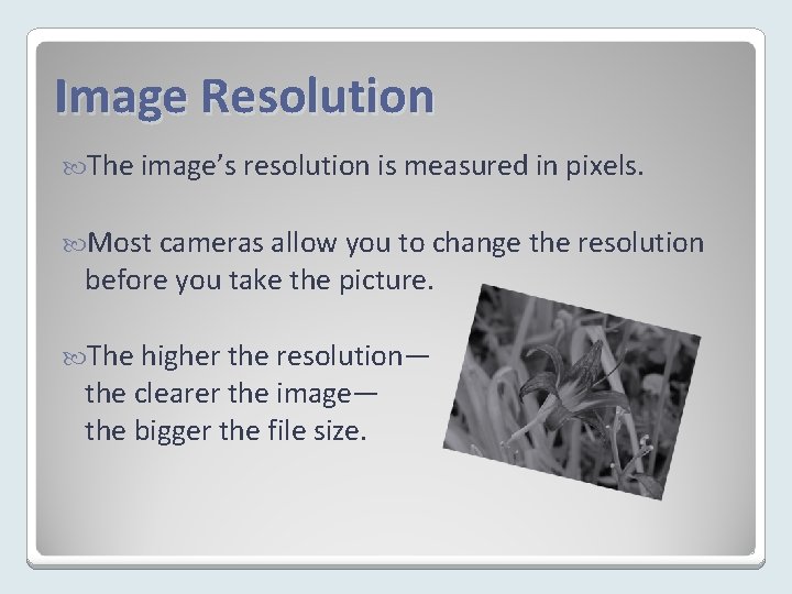 Image Resolution The image’s resolution is measured in pixels. Most cameras allow you to