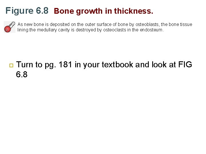 Figure 6. 8 Bone growth in thickness. As new bone is deposited on the